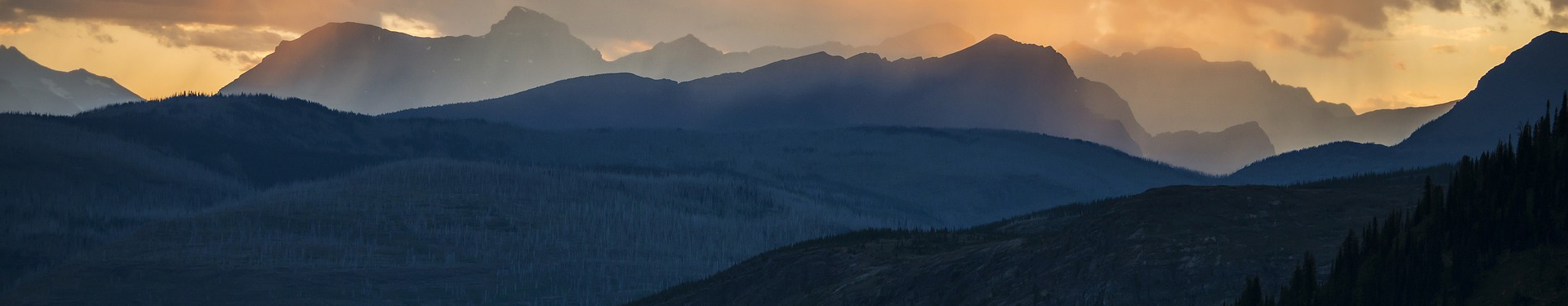 Headerfoto 5